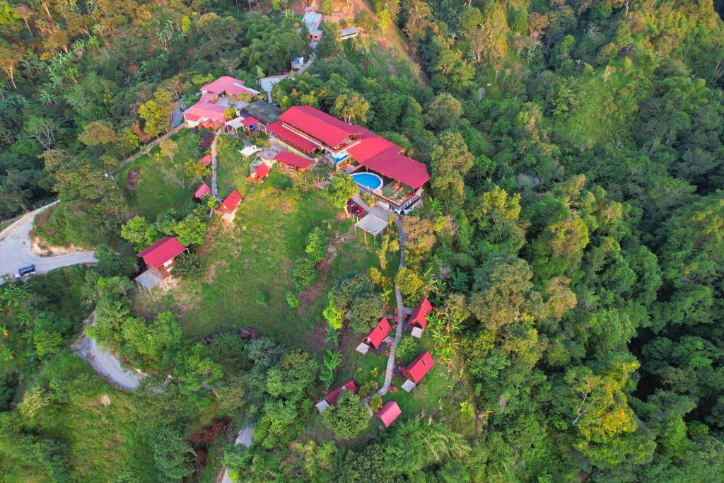 an aerial view of a house in the middle of a forest at Hostal Sierra Minca in Minca