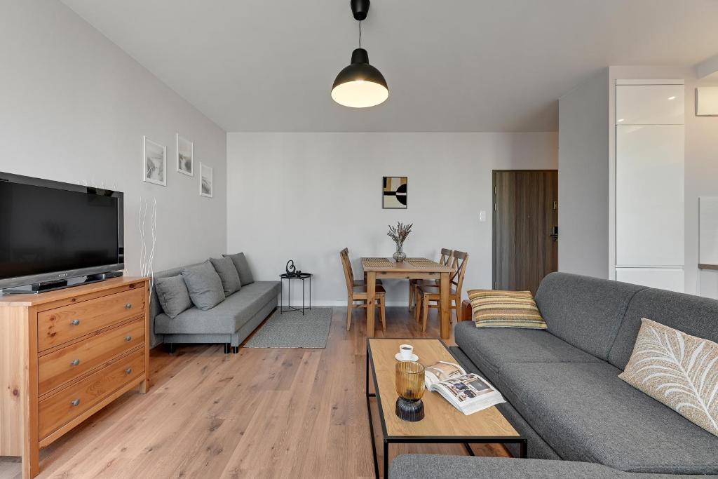 a living room with a couch and a tv at Downtown Apartments Seaside Awiator in Gdańsk