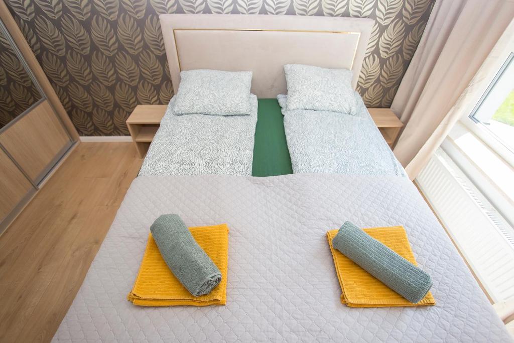 Urban Jungle apartament Emily - 11