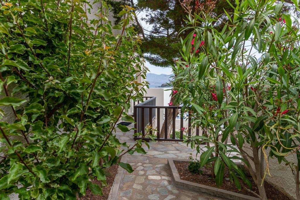 Сад в Pelagos Seafront Accommodation - Maria