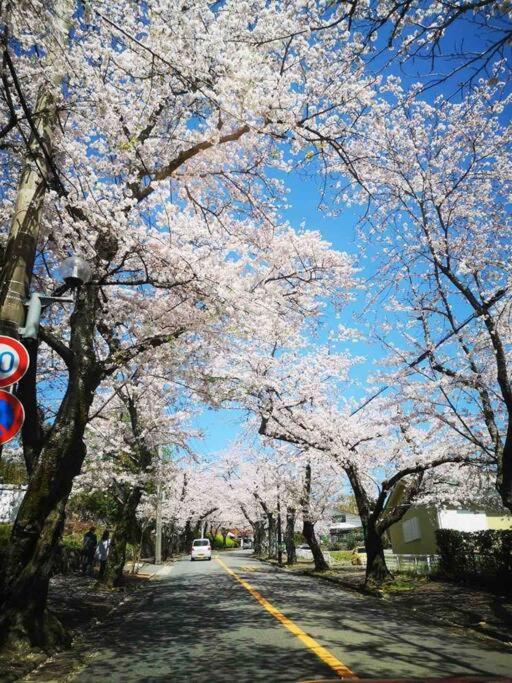 Fotografie z fotogalerie ubytování 2SLDK駐車場、芝生東屋付き、BBQ、大室山と海遠望伊豆高原5分 v destinaci Ito