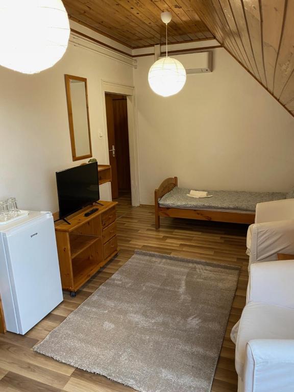 TV a/nebo společenská místnost v ubytování Global Apartmanház