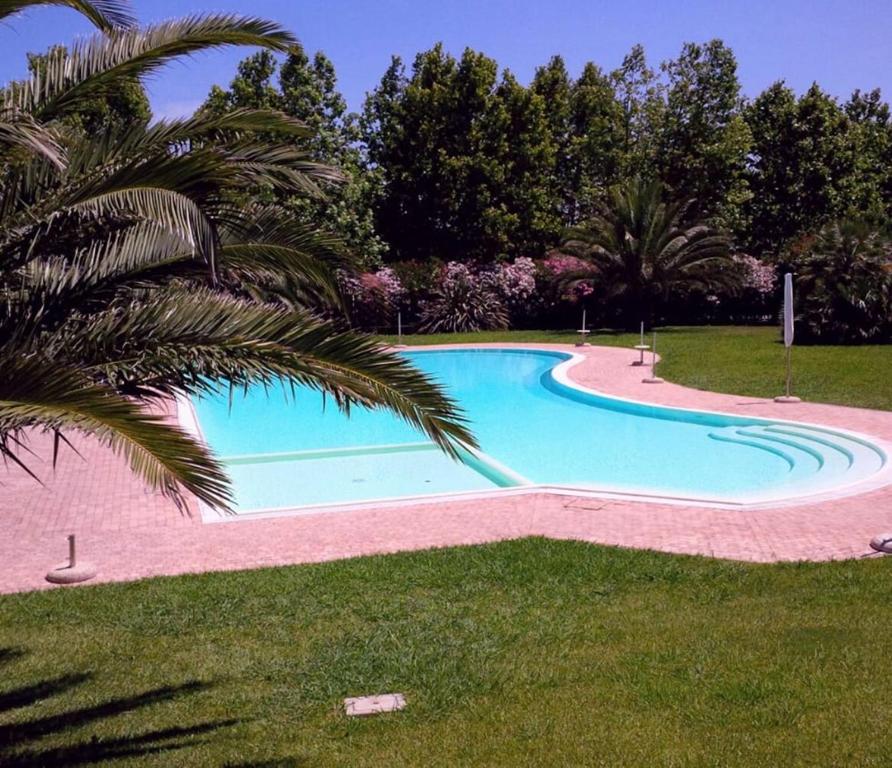 una gran piscina con una palmera al lado en Casa Sara con Wifi e piscina comune, a soli 2 km dal mare en Cecina