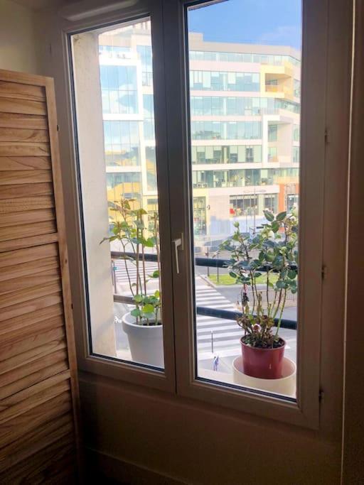 une fenêtre avec deux plantes en pot dans une pièce dans l'établissement Habitation Salomé, à Paris
