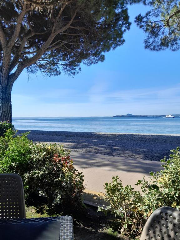 - une vue sur la plage avec un arbre et l'océan dans l'établissement villetta le palme, à Toscolano Maderno