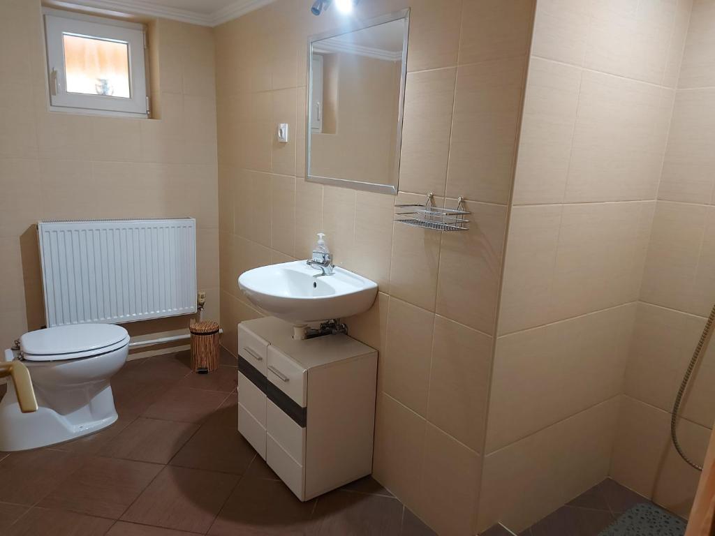 Kúpeľňa v ubytovaní Potyka Apartman