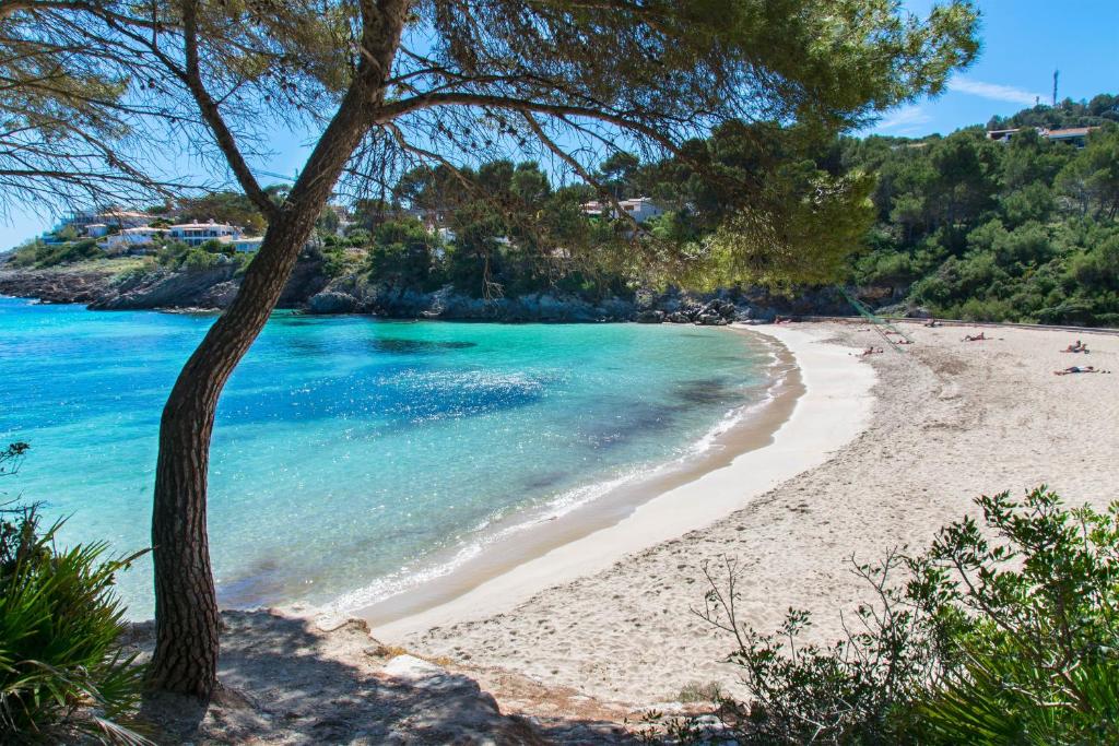 Fotografie z fotogalerie ubytování Casa GINEBRO v destinaci Cala Ratjada