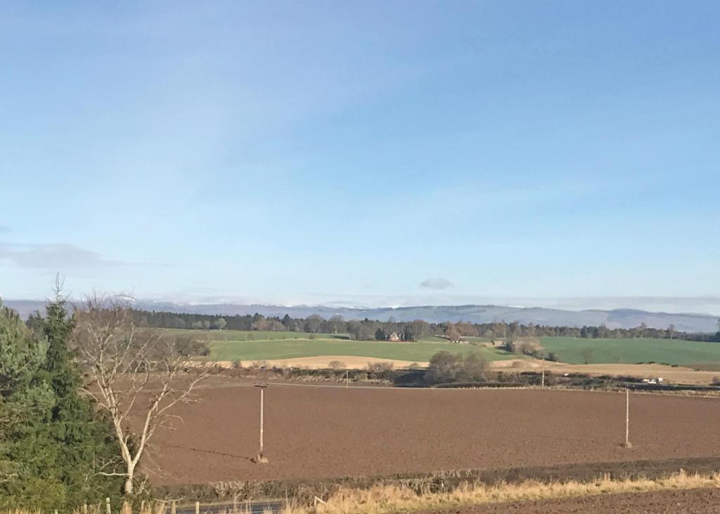 a field of farmland with a field of crops at Beech Hedge in Coupar Angus