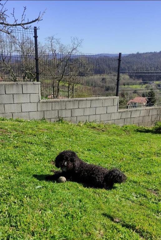 Zwierzęta zatrzymujące się w obiekcie Casa rural La casilla de Ois-Betanzos-A Coruña