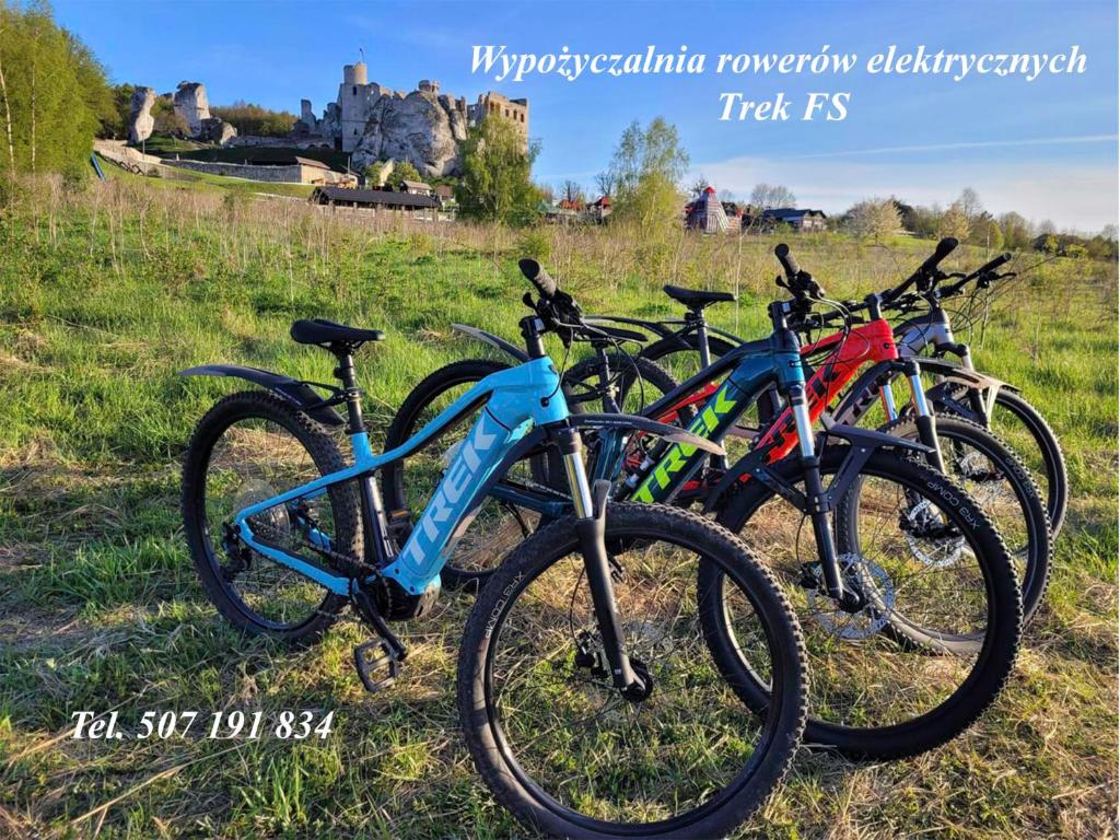 Jazda na bicykli v okolí ubytovania Agroturystyka na Jurze Jacuzzi Sauna Beczka