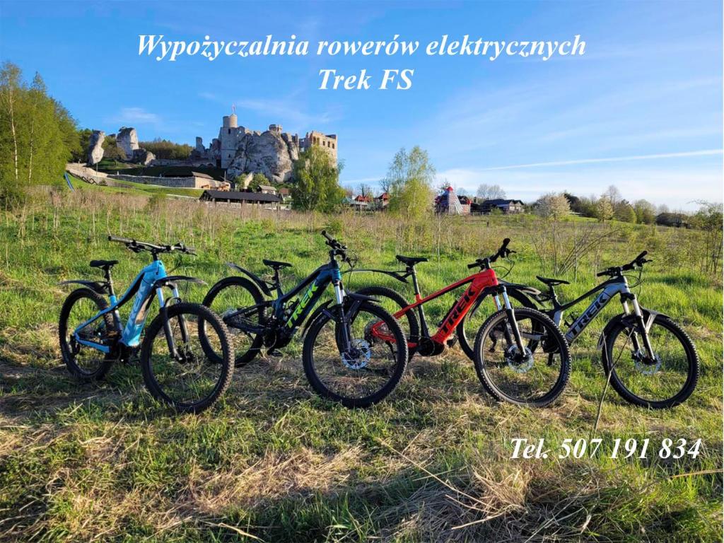 Jazda na bicykli v okolí ubytovania Agroturystyka na Jurze Jacuzzi Sauna Beczka