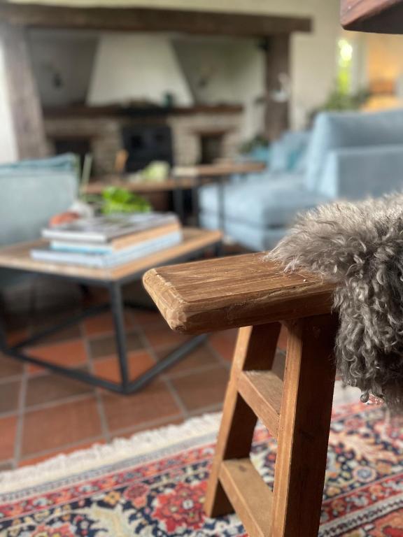 a wooden bench in a living room with a coffee table at Maison Margareta in Middelburg
