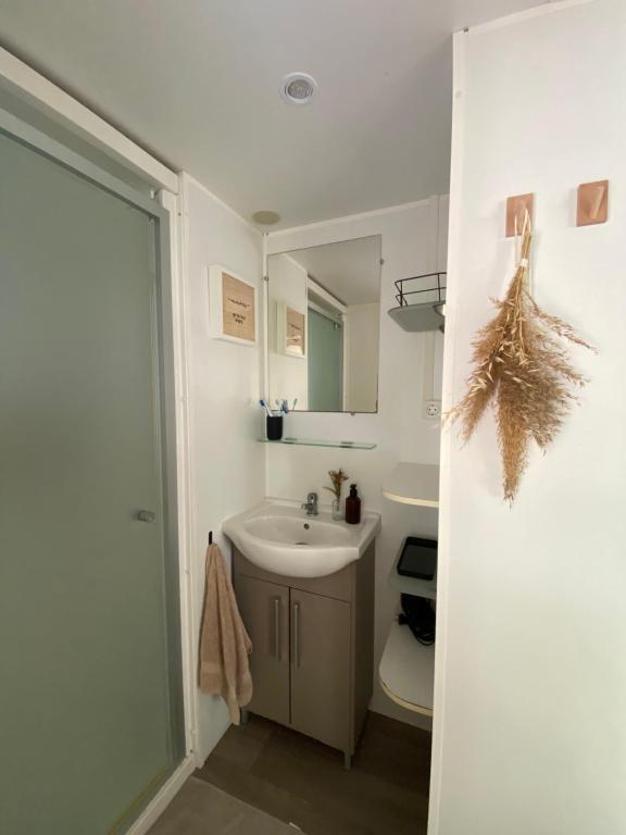 een badkamer met een wastafel, een toilet en een spiegel bij Ruhig gelegenes Mobilhome La Carabasse in Vias