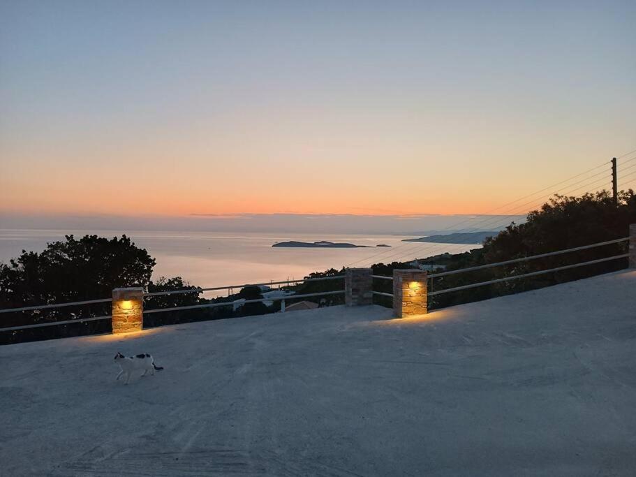 a dog walking on a snow covered slope with the sunset at Aegean Star in Apróvaton