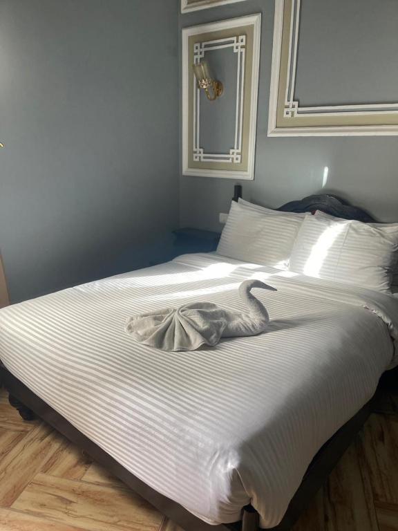 Cosmopolitan hotel - 15