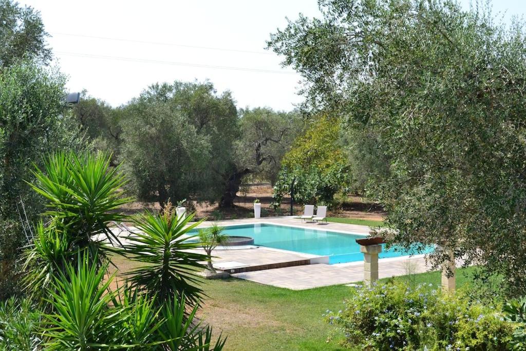 - une piscine dans une cour arborée dans l'établissement Borgo Guastaferri Villa & Pool !, à Oria