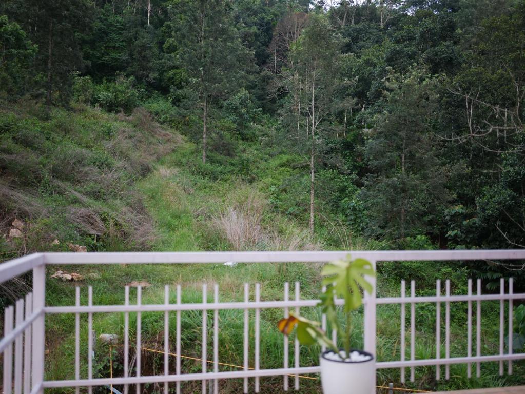 Zahrada ubytování Creek Way Munnar