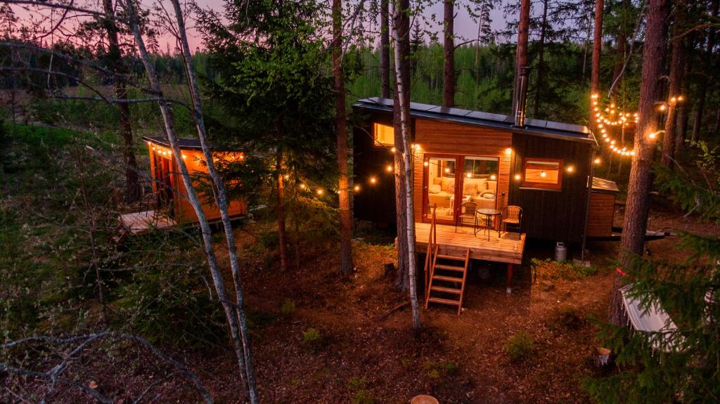 にあるTaaliHomes Metsamajake - kadakasaun hinnasの夜の森の中の灯り付き小屋