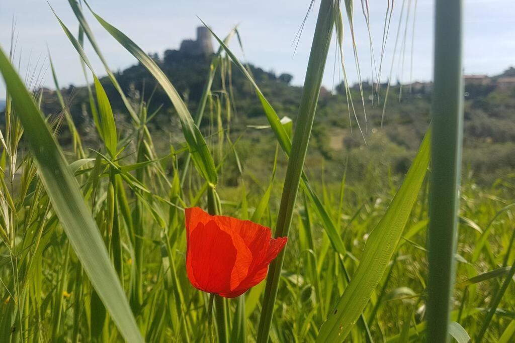 La Casina di Nonna Giulia - Apartamento De Dos Dormitorios