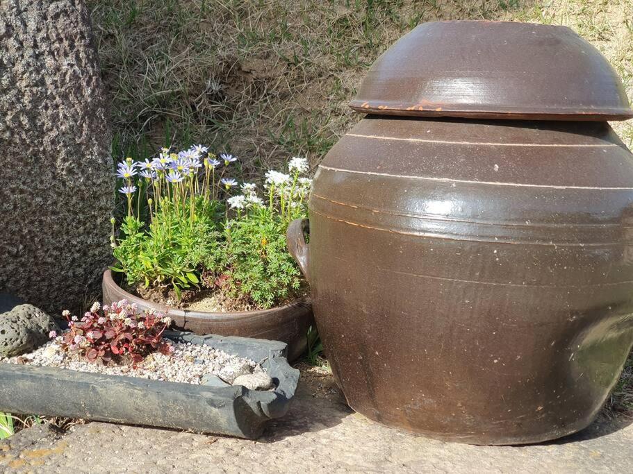 um grande potenciômetro sentado ao lado de algumas plantas em Cozy accomodation near chilgok gyeongdae hospital em Daegu