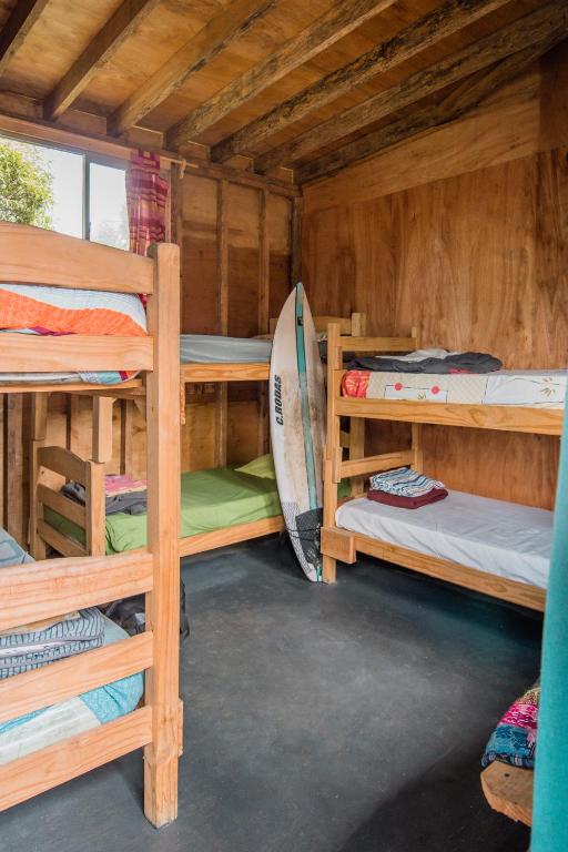 Compay Hostel La Pedrera - Bed In 6-Bed Female Dormitory Room