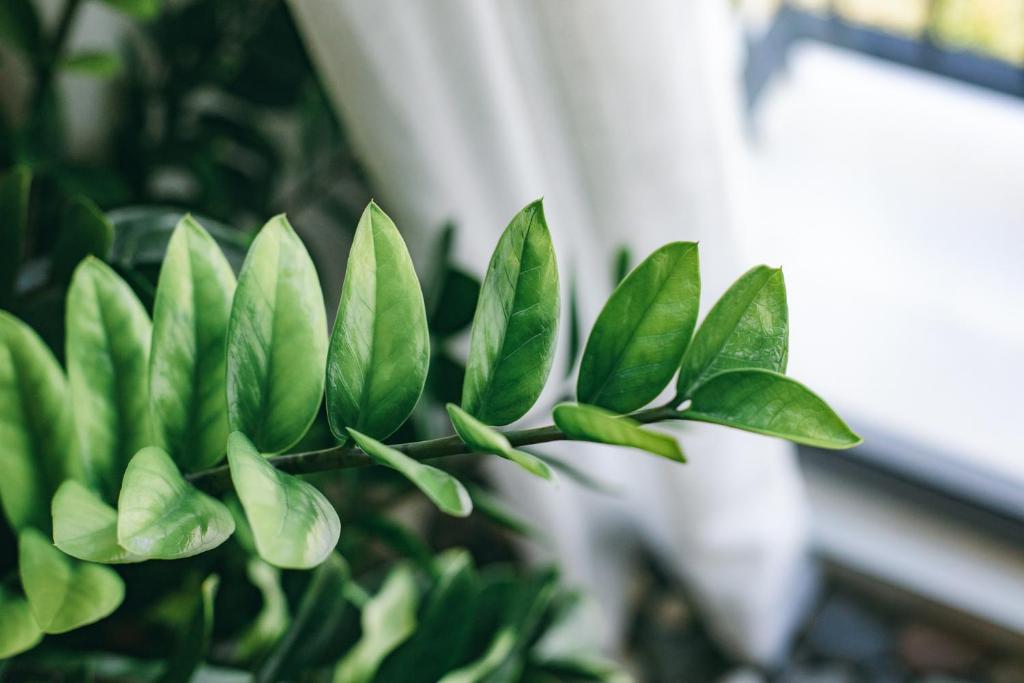 JM Boutique Hotel - 15