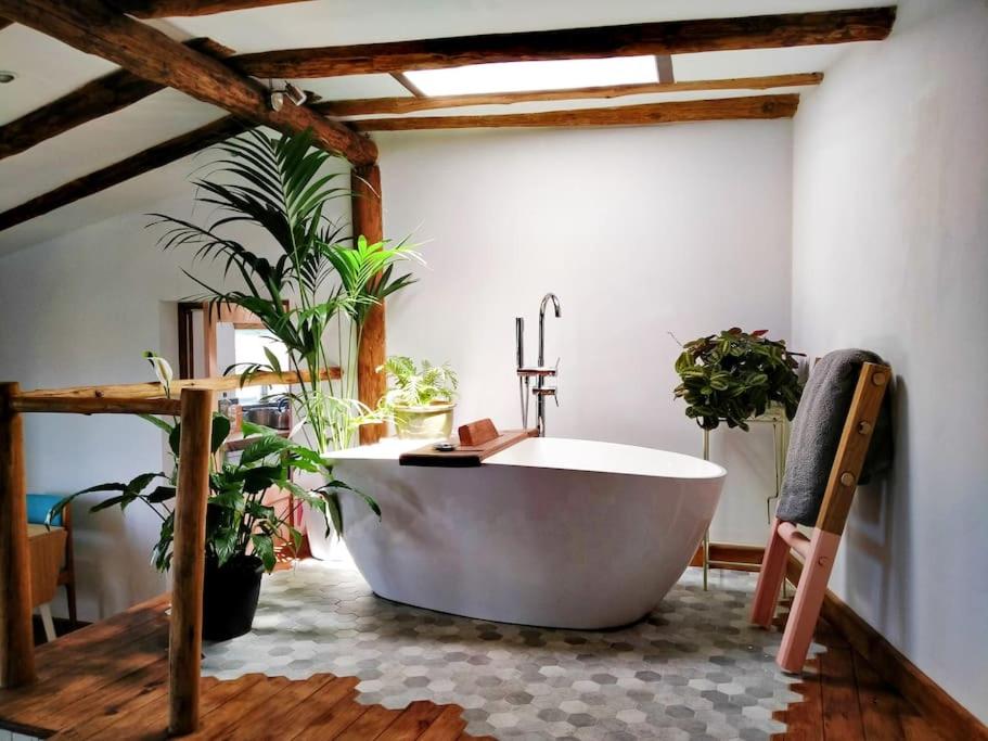 a bath tub in a room with potted plants at Romantic eco retreat in Adeje