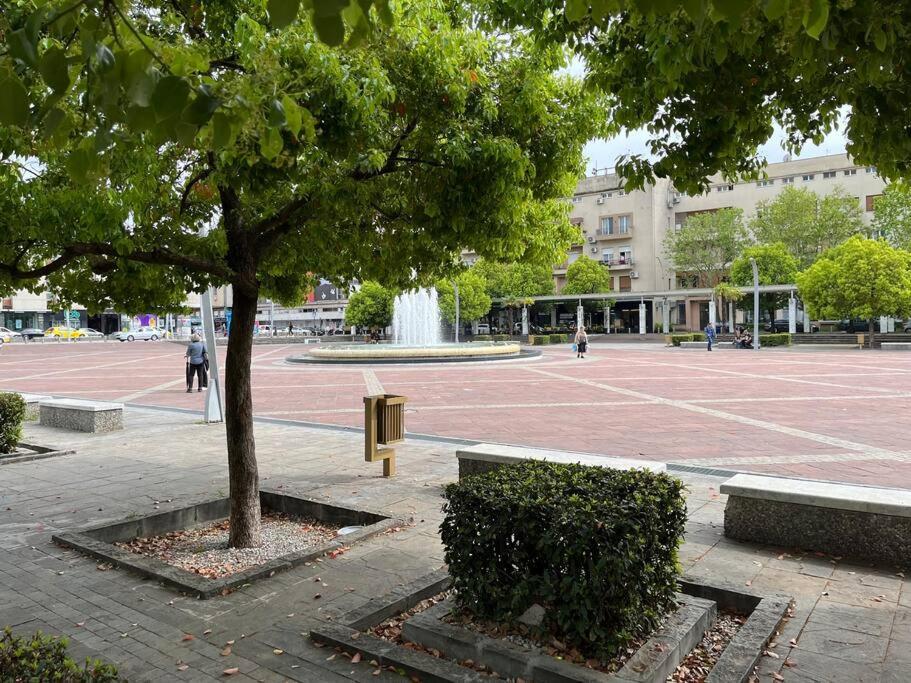 Apartment Centar - 16