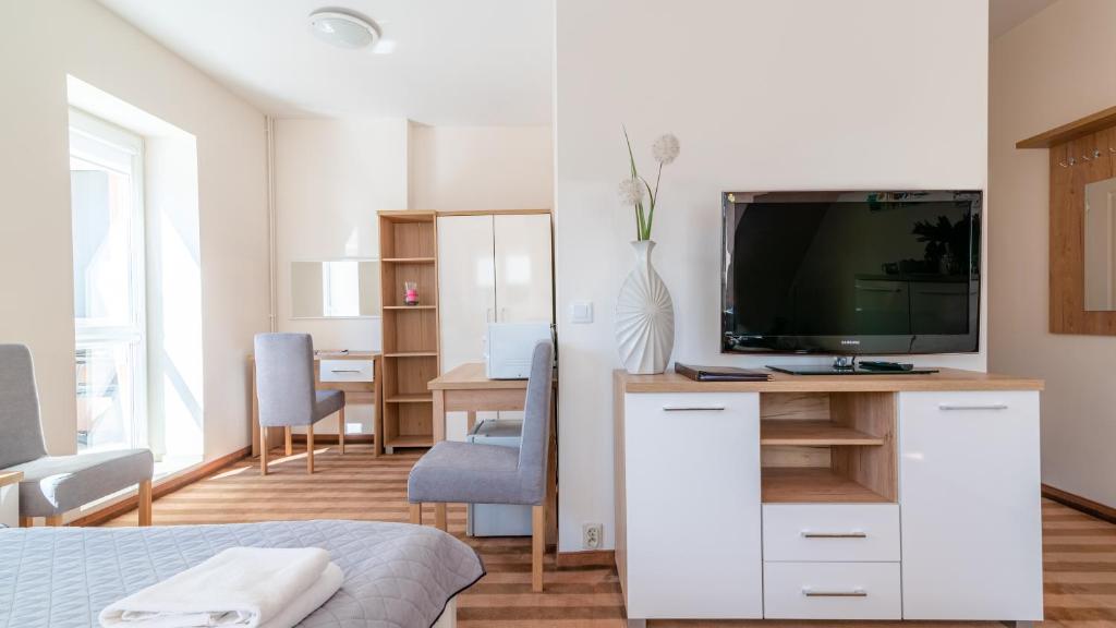TV a/nebo společenská místnost v ubytování Ledan