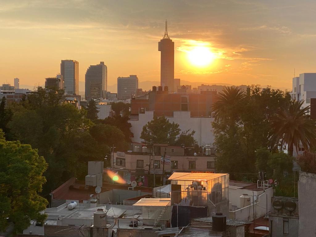 Angel,s apartment, Mexico City (updated prices 2024)