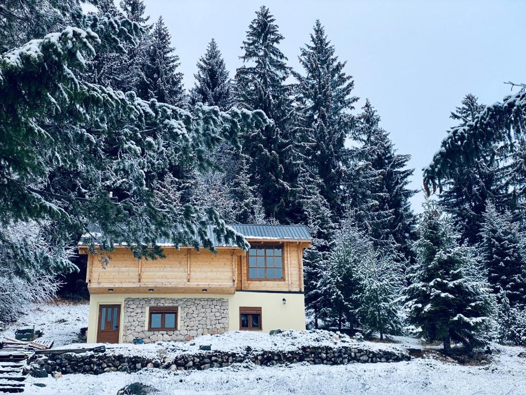 a house covered in snow in front of trees at Magia di montagna in Žabljak