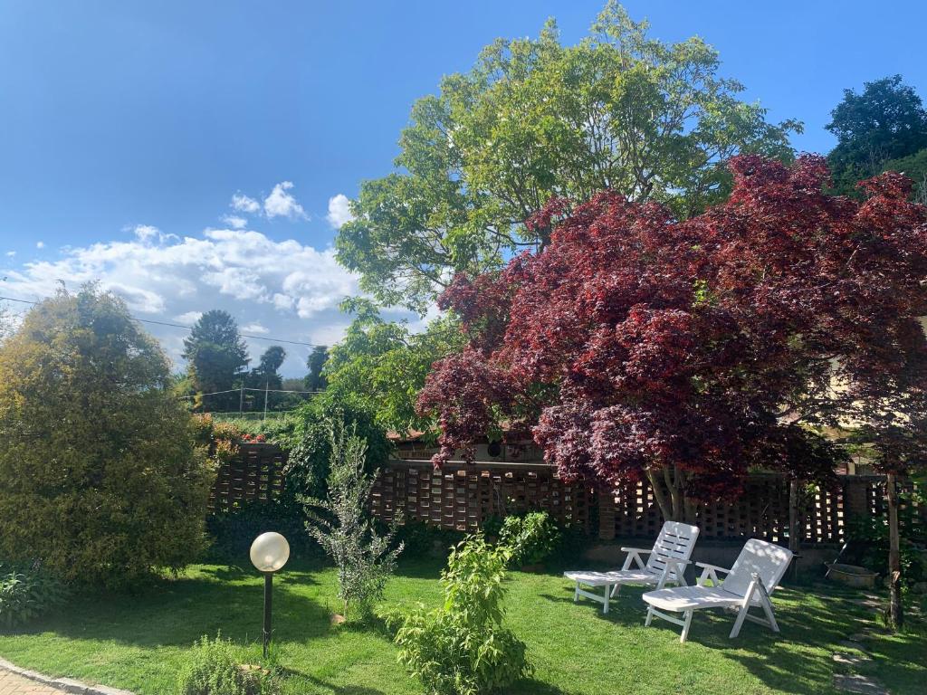 due sedie bianche in un giardino con un albero di Bouganville a Viverone