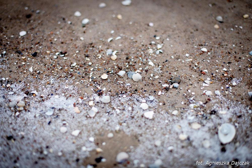 Fotografie z fotogalerie ubytování Domki Letniskowe Blue Sky 2 v destinaci Rewal