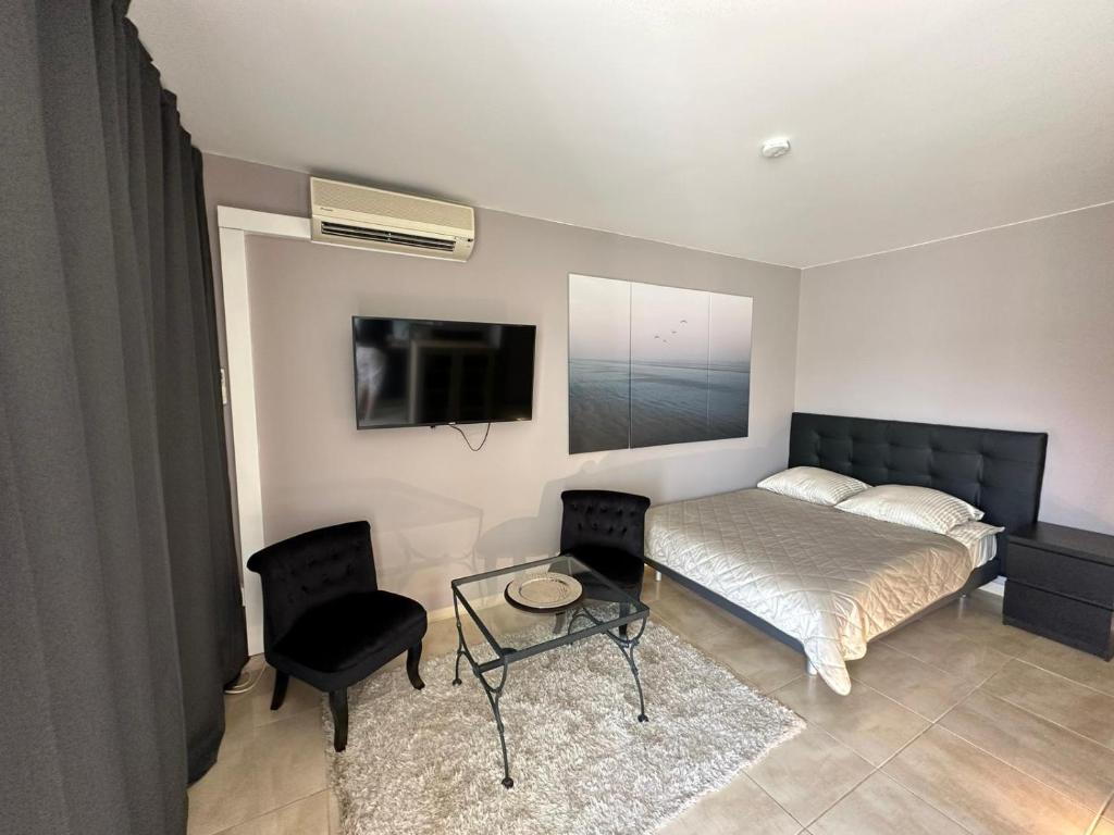 カンヌにあるPalm Beach Cannesのベッドルーム(ベッド1台、テレビ、椅子付)