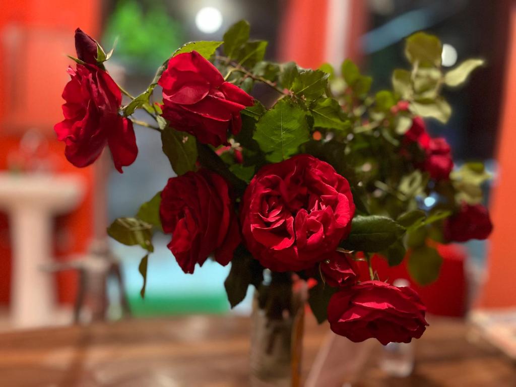 Fotografie z fotogalerie ubytování Hotel Crescent v destinaci Šrínagar