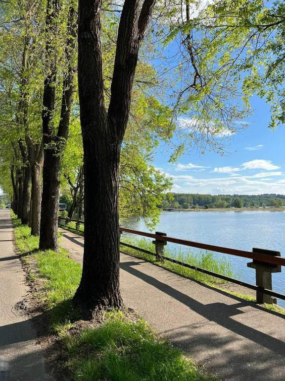 un parco con un albero e una recinzione accanto a un lago di Apartman Emilija a Bačka Palanka