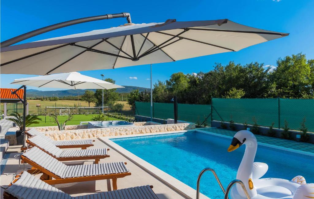 a swan sitting next to a swimming pool with an umbrella at Stunning Home In Siveric With 5 Bedrooms, Jacuzzi And Outdoor Swimming Pool in Siverić