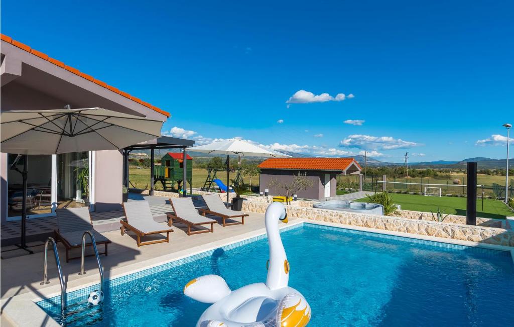 two swans in the swimming pool of a house at Stunning Home In Siveric With 5 Bedrooms, Jacuzzi And Outdoor Swimming Pool in Siverić