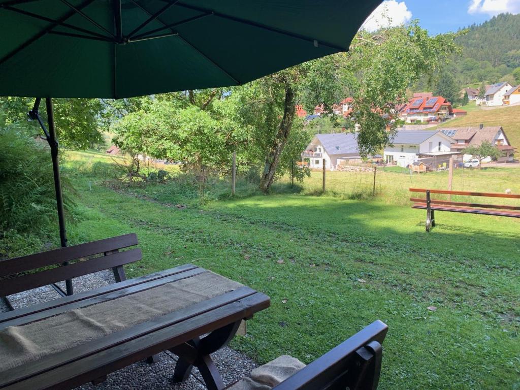 Příroda nedaleko apartmánu