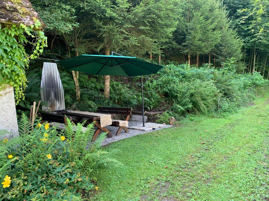 Zahrada ubytování Hörnleberg - Stubenhof, Black Forest