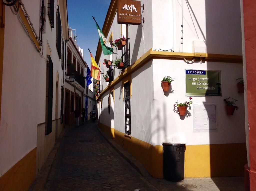 a narrow alley with potted plants on the side of a building at Hospederia Alma Andalusi in Córdoba