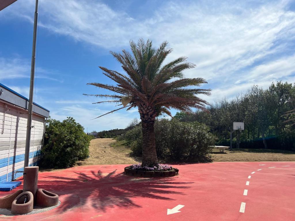 Kép Beach House Riviera szállásáról Lignano Sabbiadoróban a galériában