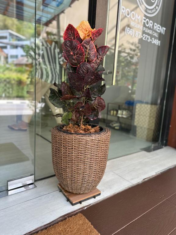 Kata Sea Blue - Resim 22