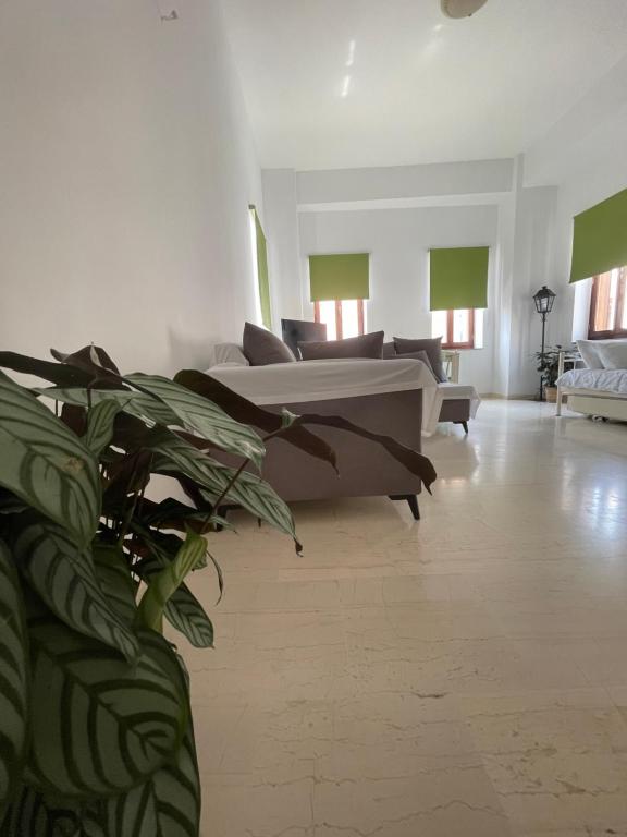 Aphaias Apartments - 11