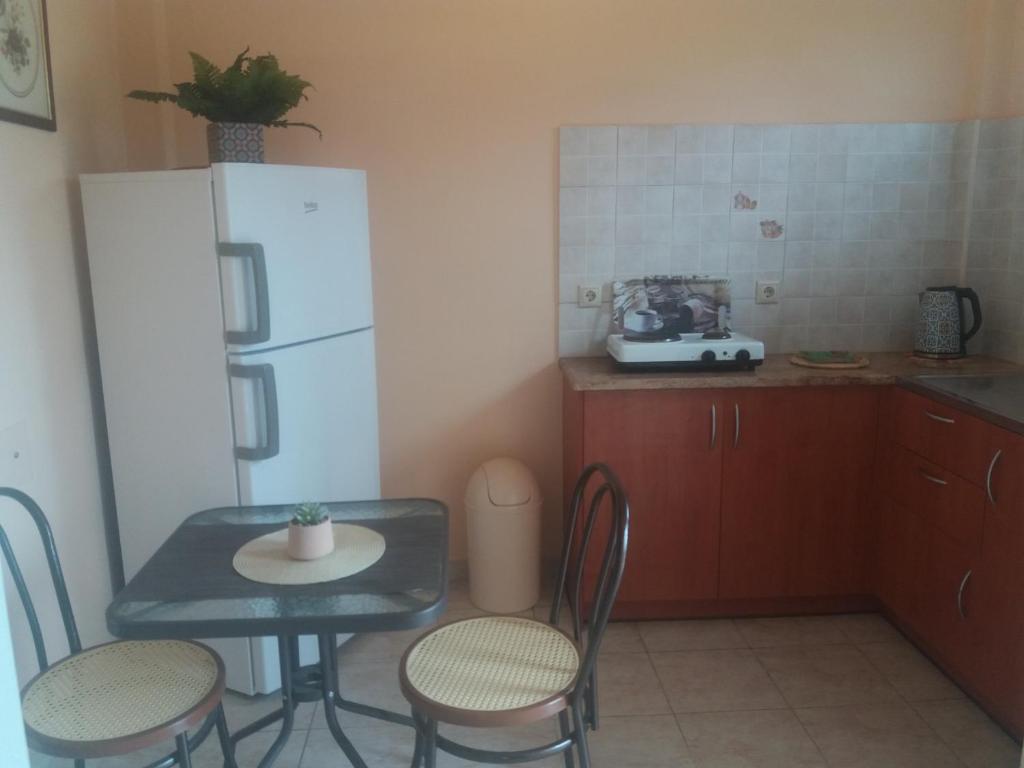 Kuchyň nebo kuchyňský kout v ubytování Alexandra Spingou Apartments