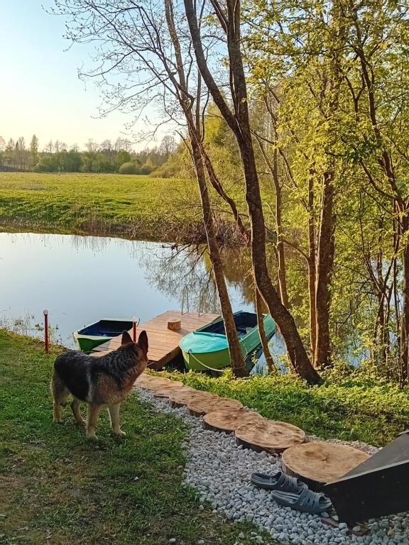 Výhled na řeku, která protéká v blízkosti kempu
