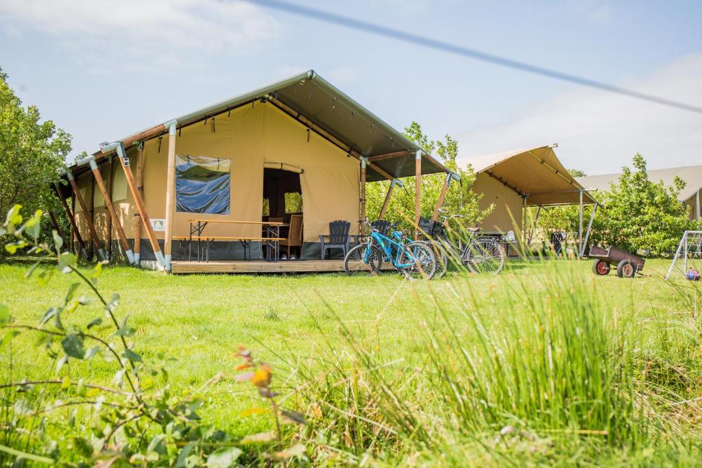 Zahrada ubytování Boerderij Halfweg