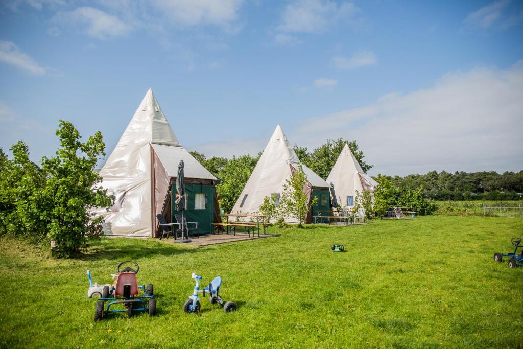 a group of tents in a grass field at Boerderij Halfweg in West-Terschelling
