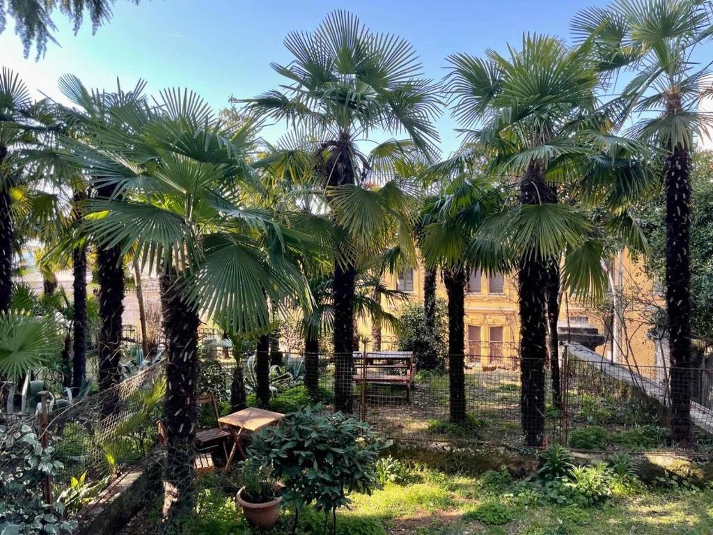 a group of palm trees in front of a building at Naval studio apartment in Rijeka