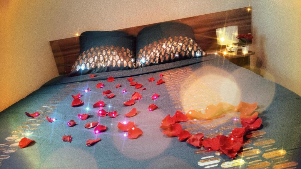 łóżko z czerwonymi płatkami róż w obiekcie Vacances insolites w mieście Foix